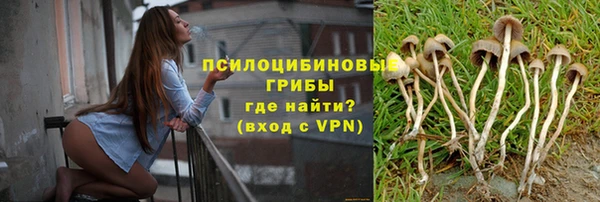 спайс Алексеевка