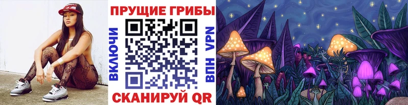Псилоцибиновые грибы Psilocybe  купить   Жигулёвск 